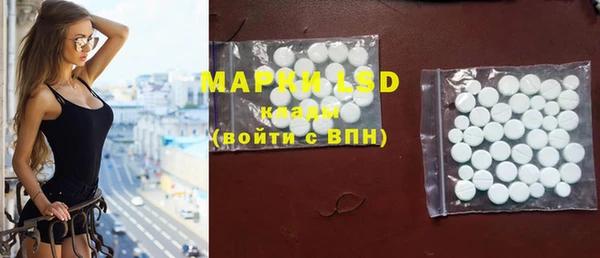 ГАЛЛЮЦИНОГЕННЫЕ ГРИБЫ Вязьма