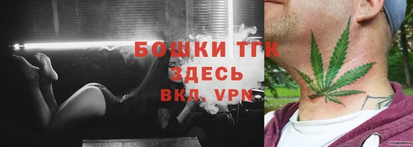 ГАЛЛЮЦИНОГЕННЫЕ ГРИБЫ Вязьма
