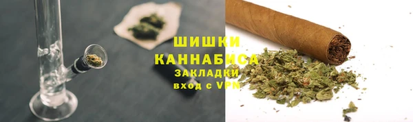 ГАЛЛЮЦИНОГЕННЫЕ ГРИБЫ Вязьма