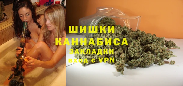 скорость Вяземский