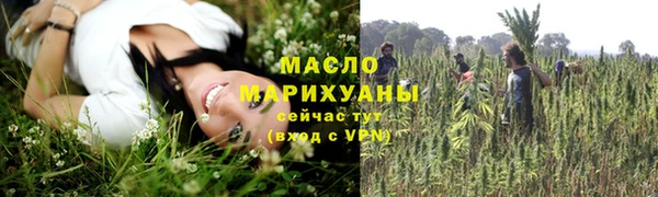 скорость Вяземский