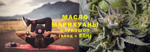 скорость Вяземский