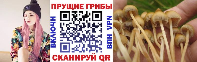 Псилоцибиновые грибы MAGIC MUSHROOMS  Кропоткин 