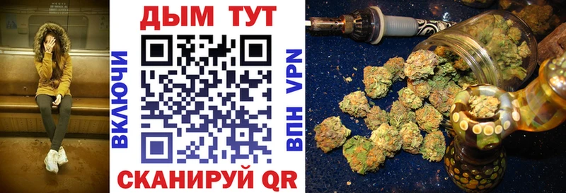 закладка  Кропоткин  Каннабис тримм 